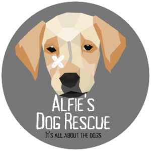 Donate to Alfie's Dog Rescue