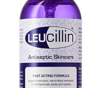 Leucillin Antiseptic Spray